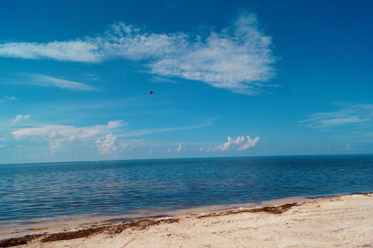 Deer Run On The Atlantic Bed & Breakfast บิกไพน์คีย์ ภายนอก รูปภาพ