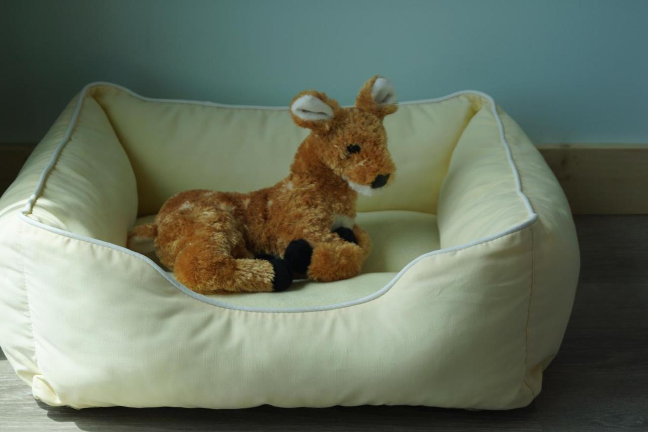 Deer Run On The Atlantic Bed & Breakfast บิกไพน์คีย์ ภายนอก รูปภาพ