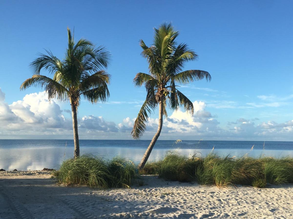 Deer Run On The Atlantic Bed & Breakfast บิกไพน์คีย์ ภายนอก รูปภาพ